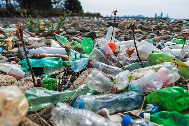 プラスチック汚染 黒海の石の海岸にある空の使用済みの汚れたペットボトル 環境汚染