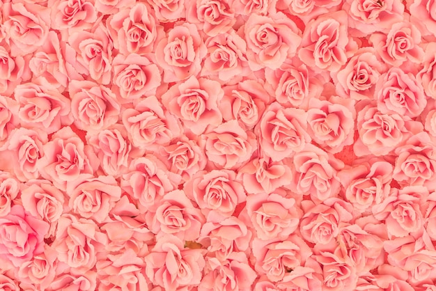 Photo plastic rose background