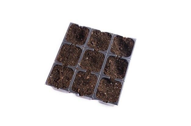 Plastic seedlings tray filled with soil fot planting on white background