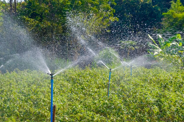 Пластиковый спрингер поливает деревья в саду