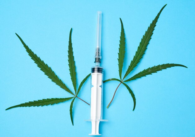 Plastic syringe with a needle and green leaves of hemp