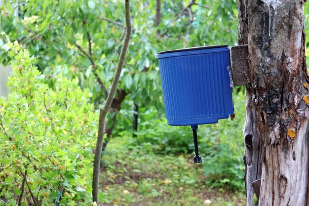 러시아에서 과일 나무와 가시베리 덤불을 배경으로 여름철에 시골 집 정원에서 오래된 나무에 손 위생을위한 플라스틱 세탁기 수직 사진