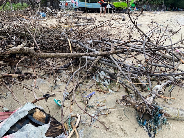 Plastic waste and twigs on the beach