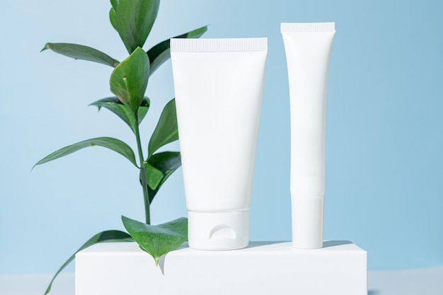 Plastic white tubes for face and eye cream or lotion skin care\
or sunscreen cosmetic on white podium on blue background with\
ruscus leaves beauty concept for face care