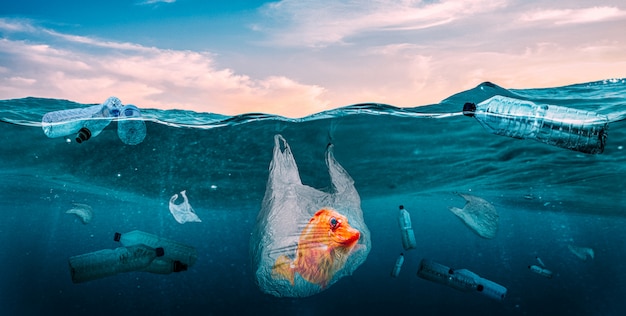 Materie plastiche nei mari. problema globale