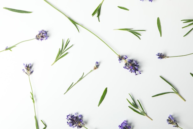 Plat lag met lavendel bloemen op witte achtergrond