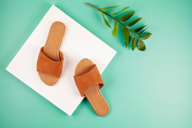 Plat lag met vrouw casual sandalen voor lente zomer seizoen