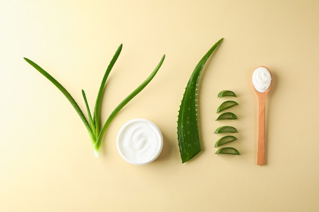 Plat lag natuurlijke behandeling accessoires op kleurentafel