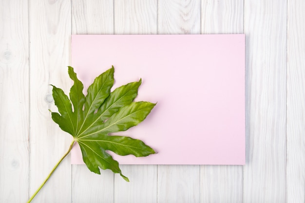 Plat lag samenstelling met roze bord en groene bladeren op witte houten tafel