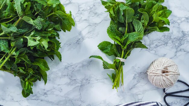 Plat leggen. Bosje verse biologische munt uit de zomertuin.