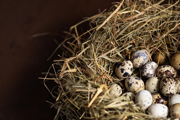 Plat leggen met Vogelnest met kwarteleitjes Paasconcept