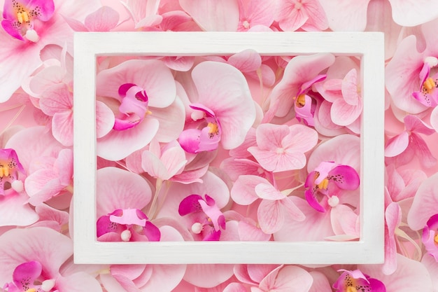 Plat leggen roze orchideeën en hortensia met frame