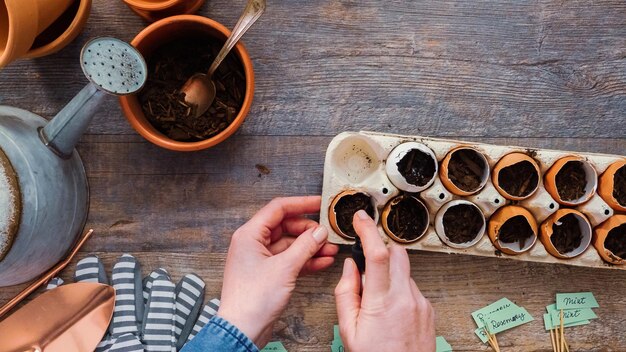 Plat leggen. Stap voor stap. Zaden in eierschalen planten en labelen met kleine planttags.