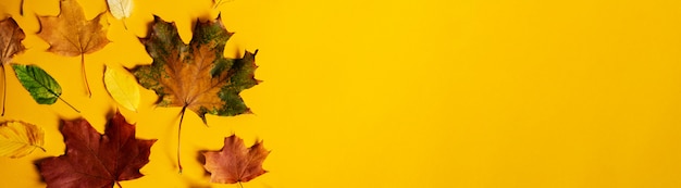 Plat leggen van aard kleurrijke herfstbladeren op gele achtergrond banner