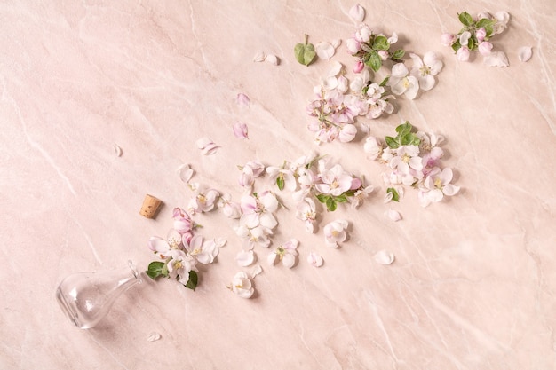 Plat leggen van lente appel bloeiende bloemen en bloemblaadjes van lege glazen fles over roze marmer