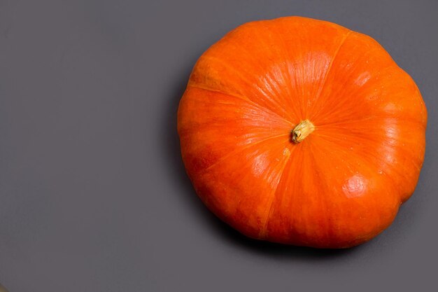 Plat leggen van oranje pompoen op een zwarte achtergrond met kopieerruimte