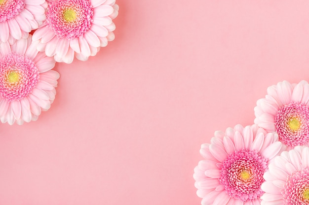 Plat leggen van roze bloemen gerbera's, kopie ruimte