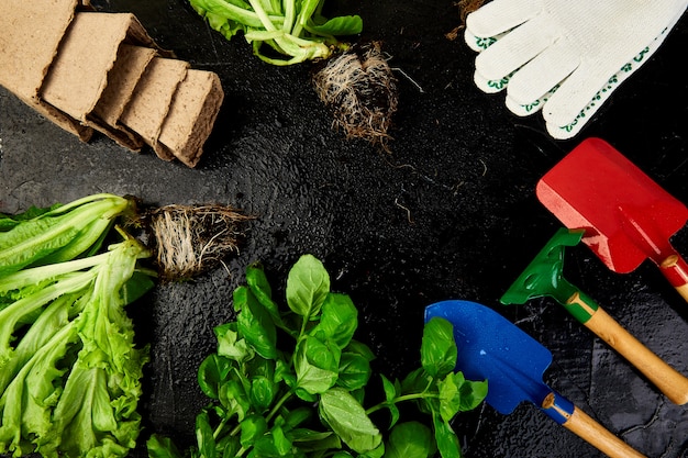 Plat leggen van tuingereedschap, basilicum, eco bloempot, bodem op zwarte achtergrond.