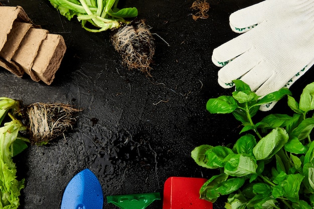 Plat leggen van tuingereedschap, basilicum, eco bloempot, bodem op zwarte achtergrond.