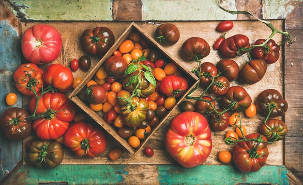 Plat leggen van verse kleurrijke tomatenvariëteit op dienblad