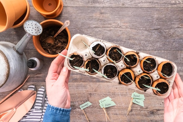 Plat leggen. Zaden in eierschalen planten en labelen met kleine planttags.