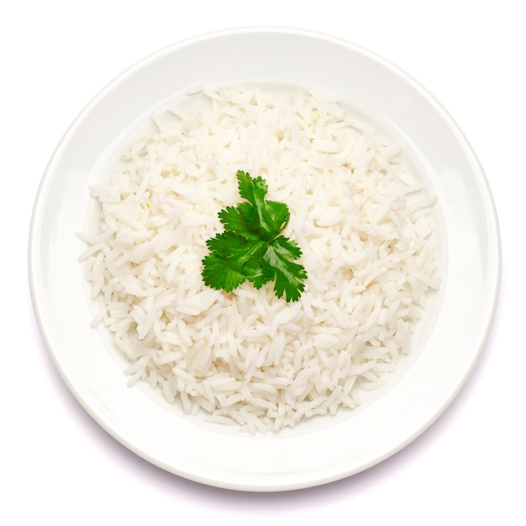 Photo plate of boiled rice isolated
