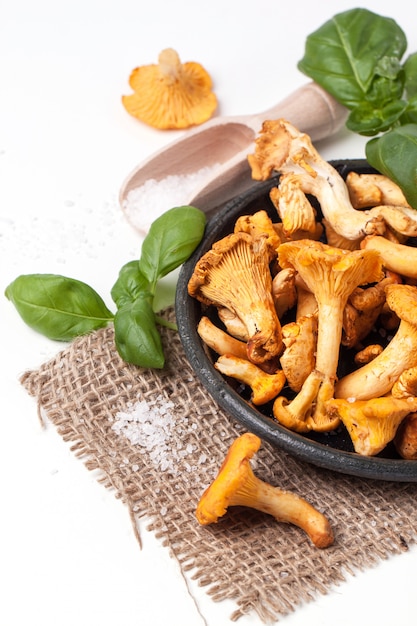 Plate of chanterelles