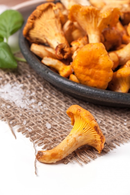 Plate of chanterelles