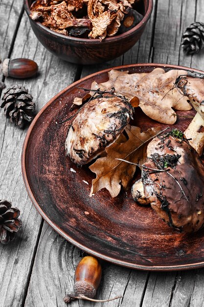 Plate of forest mushrooms