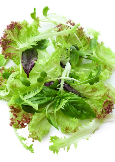 Plate of fresh mixed green salad close up