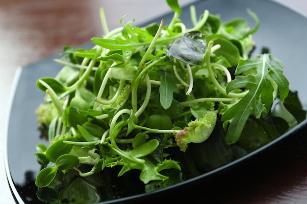 Plate of fresh mixed green salad on wooden table close up