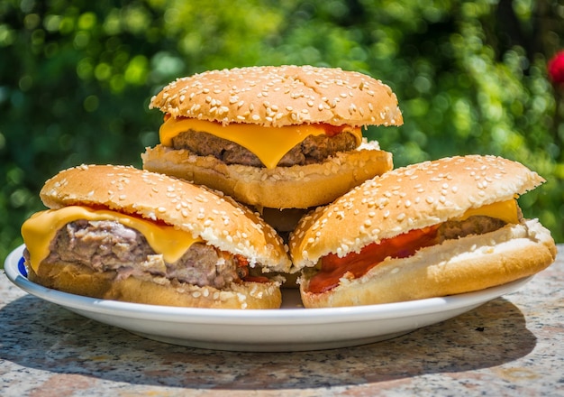 Plate full of cheeseburgers in garden