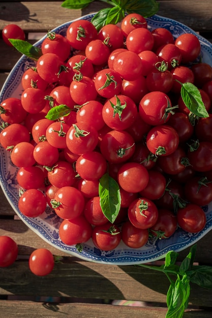 Plate full of ripe cherry tomatoes on a wooden table in sunlight