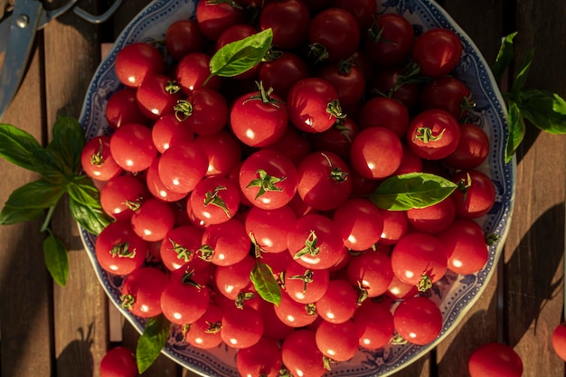 Plate full of ripe cherry tomatoes on a wooden table in sunlight