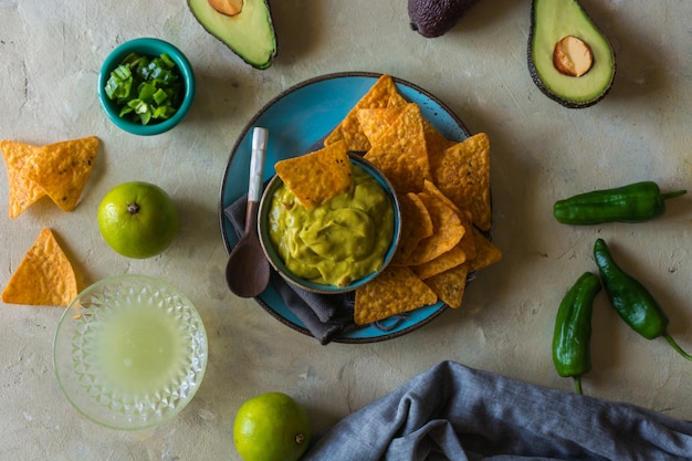 Plate of homemade guacamole with nachos. 