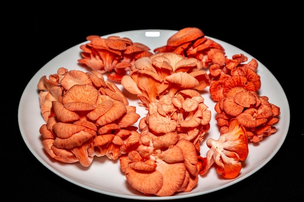 A plate of mushrooms with the word mushrooms on it