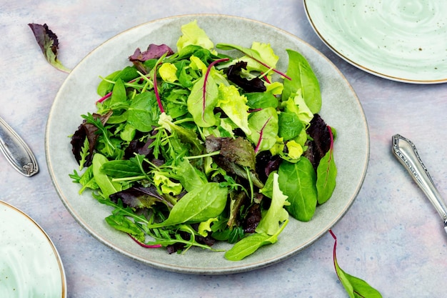 Un piatto di insalata con sopra un'insalata a foglia verde.