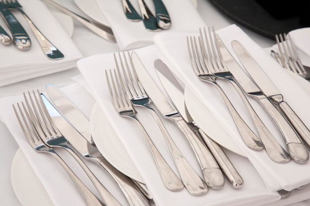 Photo plate setting with knives and forks