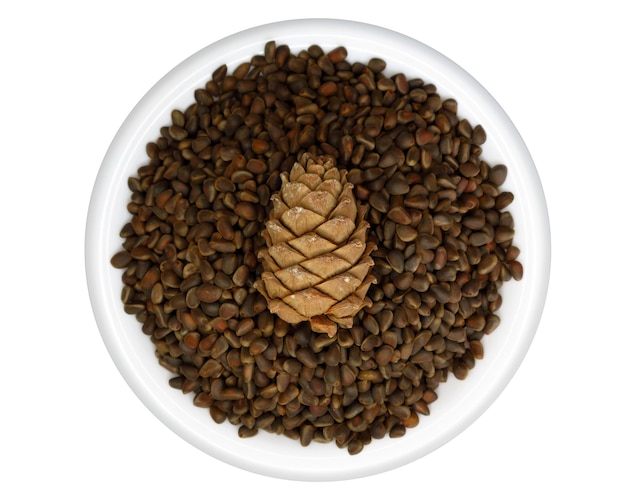 Plate with cedar cone