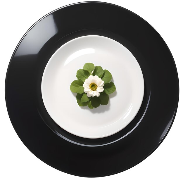 plate with flower on a white