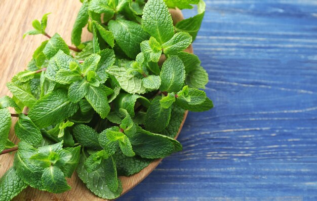 Plate with fresh lemon balm on wooden background