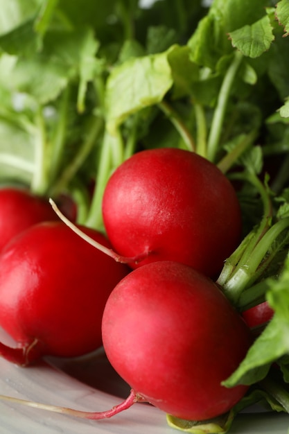 Plate with fresh radish with leaves, close up