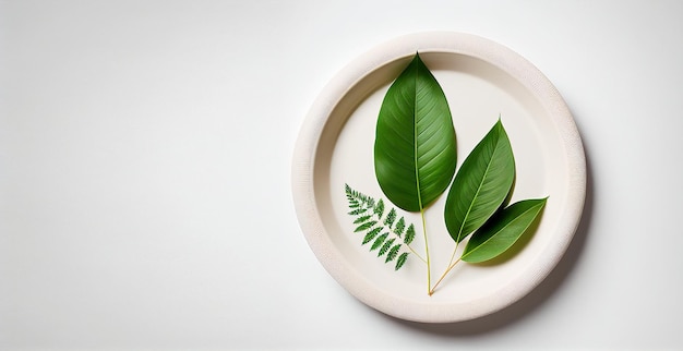 A plate with leaves on it and a white background