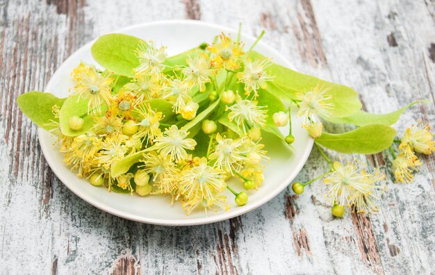 Photo plate with linden flowers