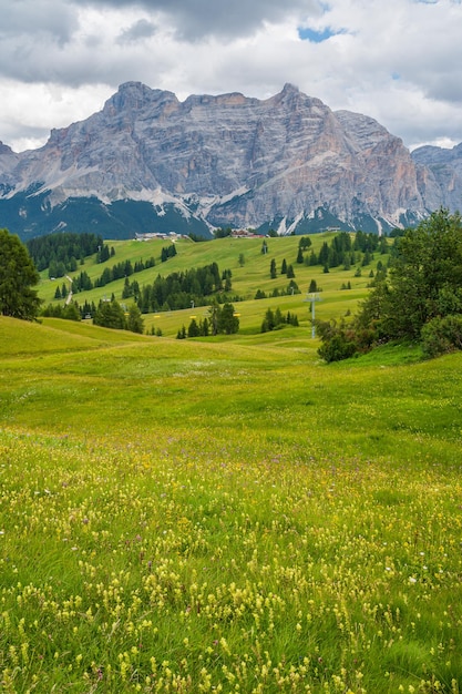 Corvara와 San Cassiano 사이의 Dolomites 심장부에 있는 Pralongia 고원