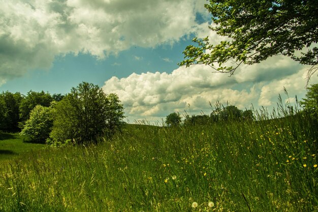 plateau of retord in ain in france