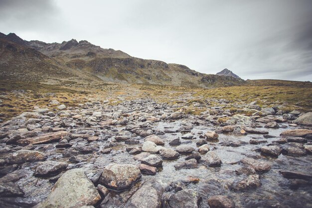 Photo plateau with stones and water