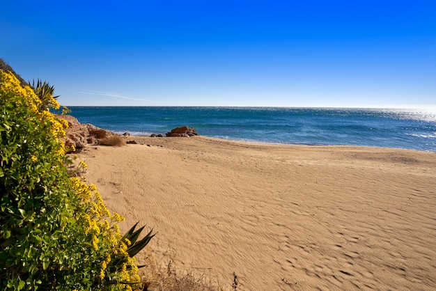 写真 マイアミ - プラヤのplatja penyalsビーチプラヤ