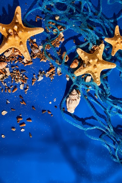 Platliggende achtergrond met zeesterrenschelpen op blauwe watertextuur met zonlicht
