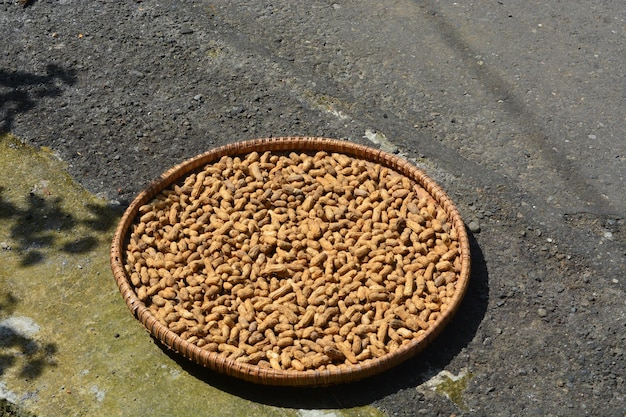 Platte laag van pinda's die worden gedroogd in de zon met hun schil op